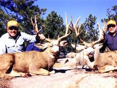 Nebraska Whitetail Deer Hunt